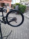 Giant Stance 29