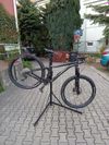 Giant Stance 29