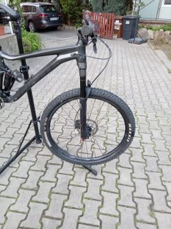Giant Stance 29