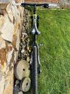Kellys Spider 50