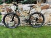 Kellys Spider 50