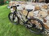 Kellys Spider 50