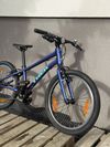 Trek Wahoo 20