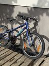Trek Wahoo 20