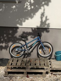 Trek Wahoo 20