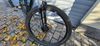 Pells PELLS RAZZER BASE 7 2021