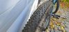 Pells PELLS RAZZER BASE 7 2021
