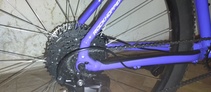 Specialized Rockhopper sport 2024