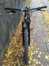 GT AVALANCHE 29 EXPERT