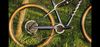 Canyon Lux CF6