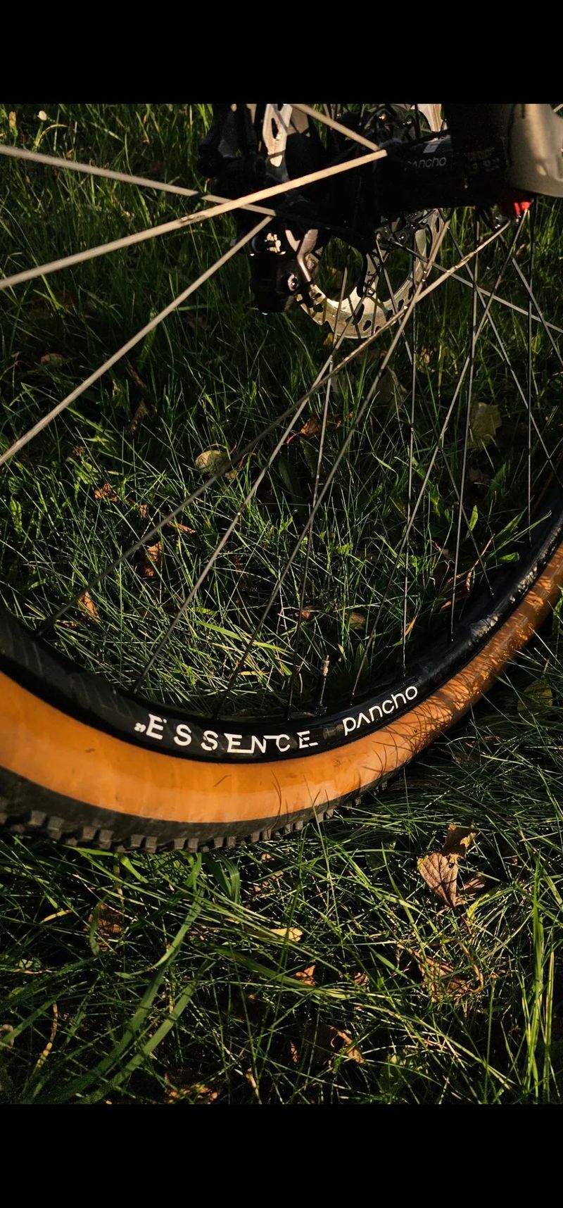 Canyon Lux CF6