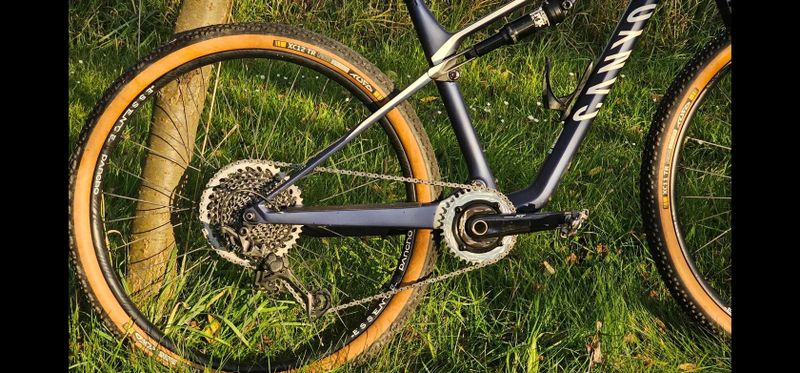 Canyon Lux CF6