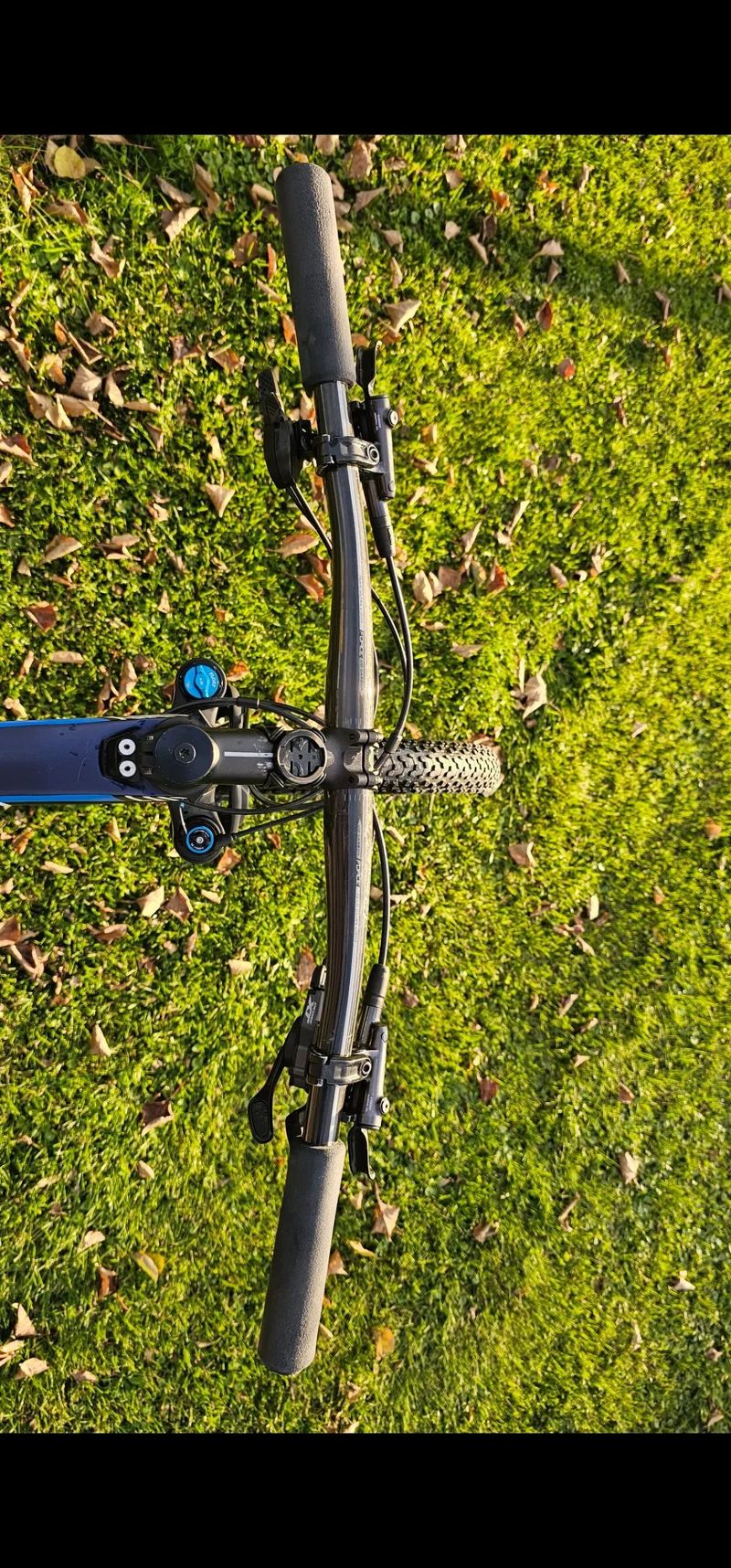 Canyon Lux CF6