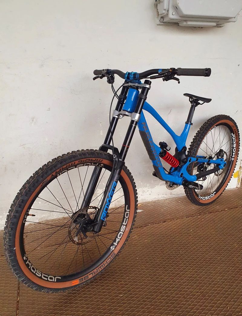 Nukeproof Dissent 290