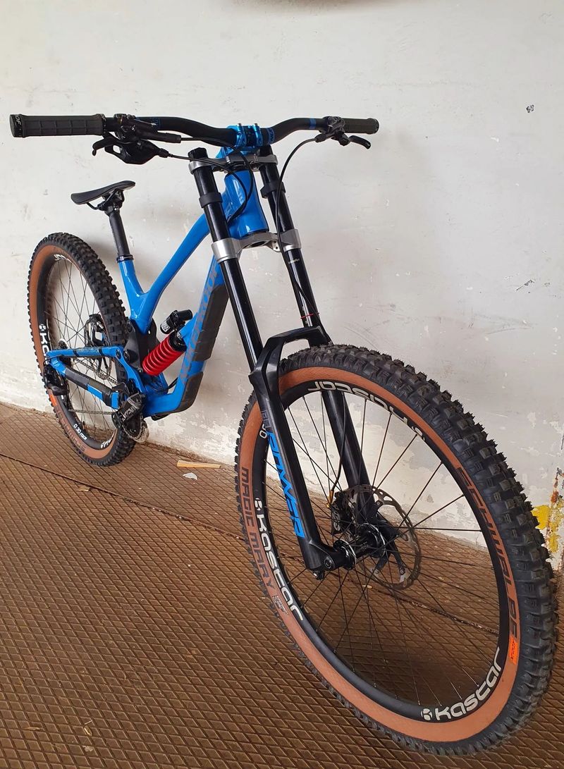 Nukeproof Dissent 290