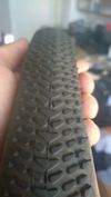 Schwalbe