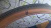 Schwalbe