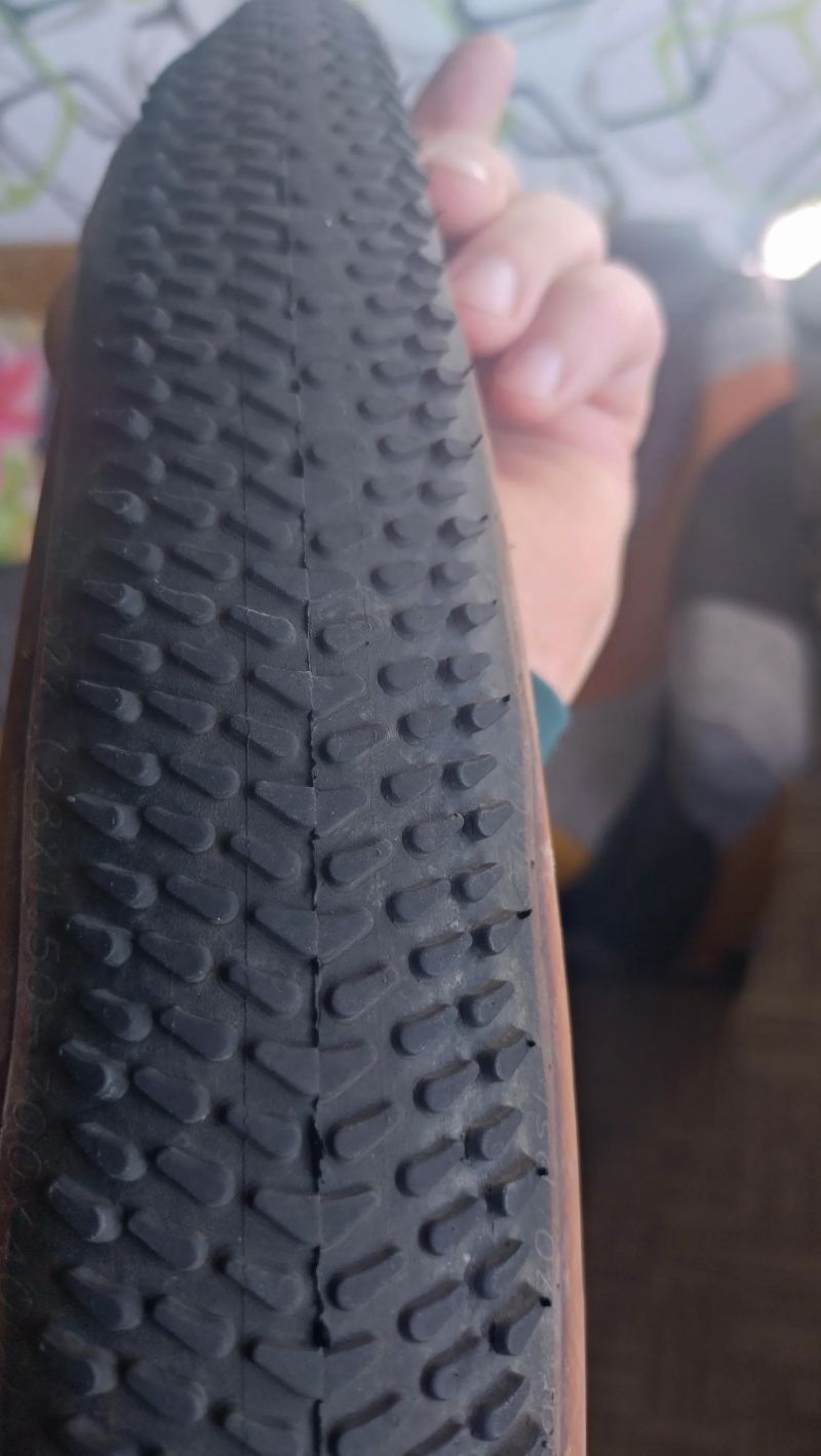 Schwalbe