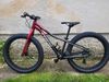 Trek Roscoe 24"