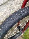 Trek Roscoe 24"