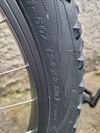 Trek Roscoe 24"