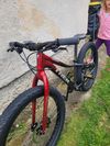 Trek Roscoe 24"