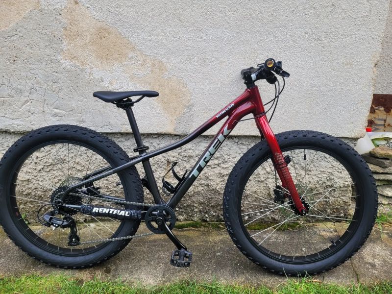 Trek Roscoe 24"