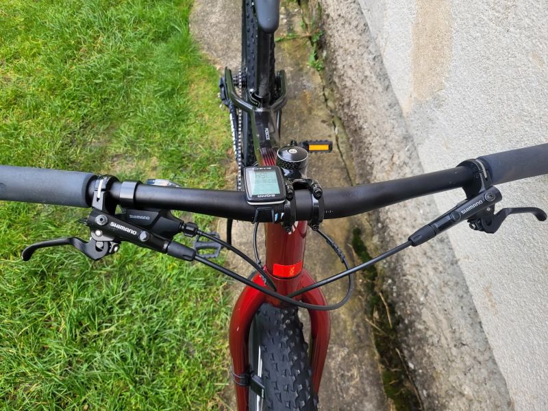Trek Roscoe 24"