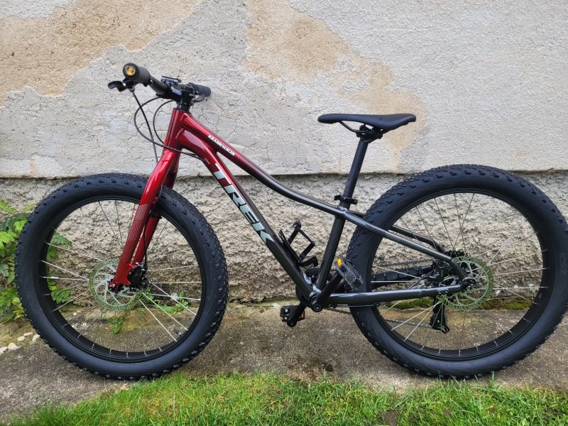 Trek Roscoe 24"