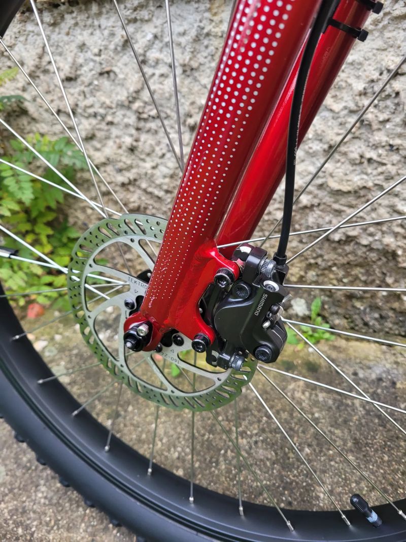 Trek Roscoe 24"