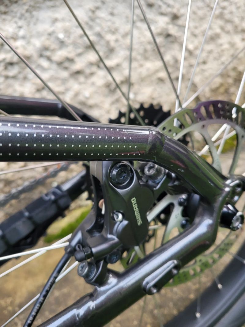 Trek Roscoe 24"