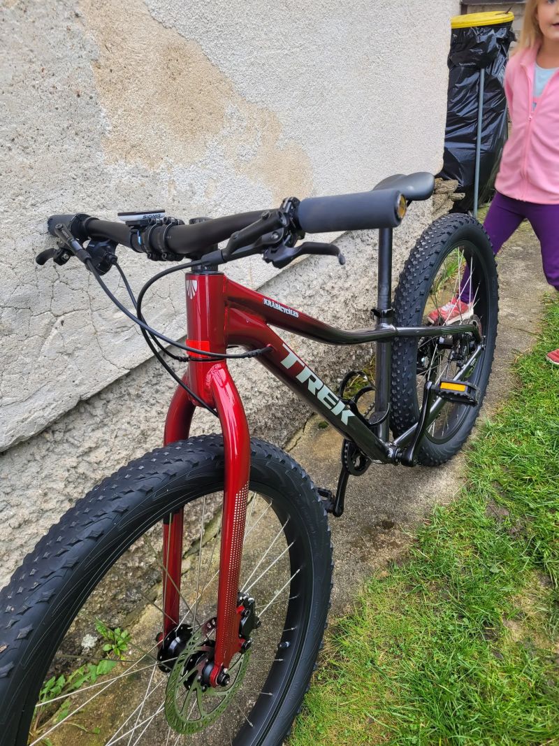 Trek Roscoe 24"