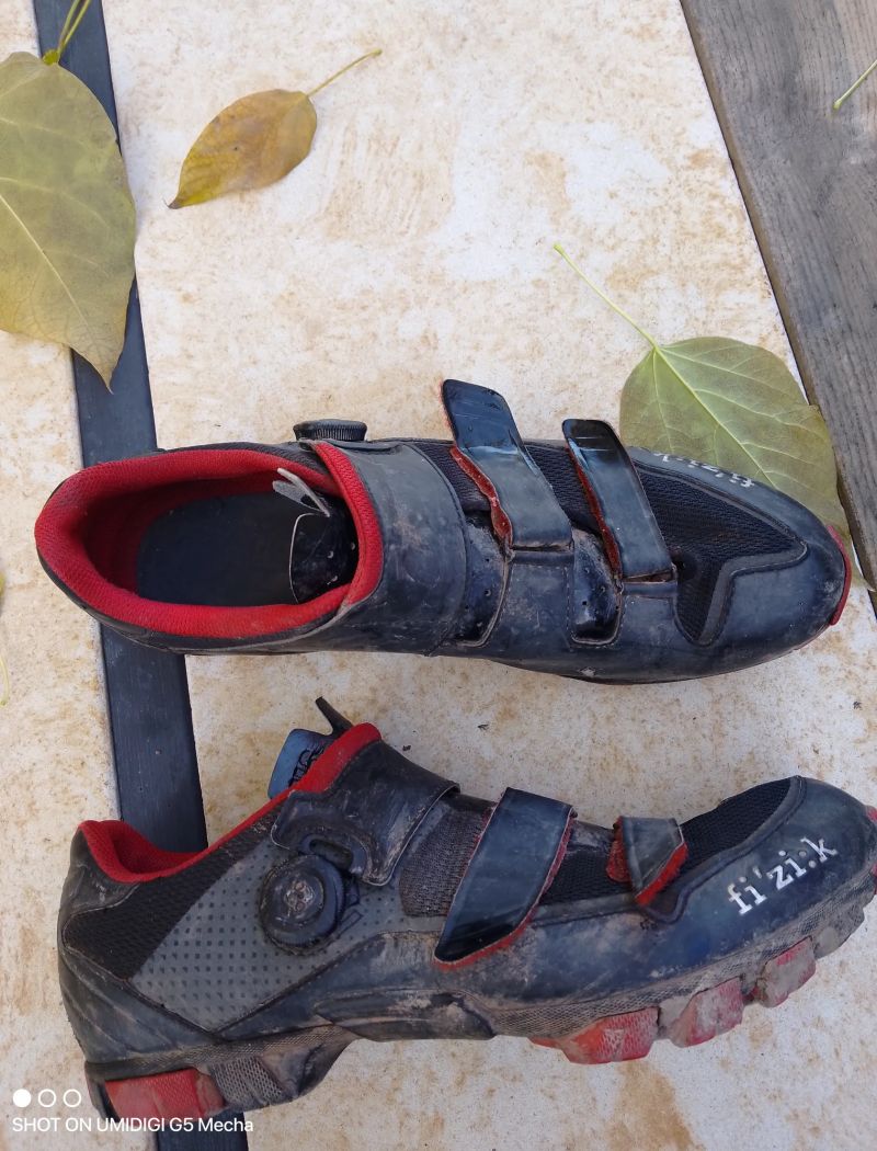Fizik