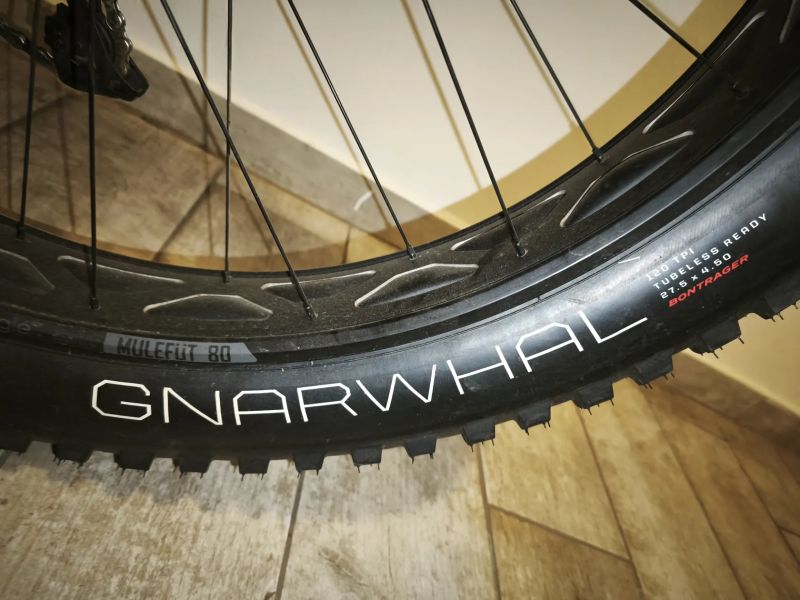 Trek Farley5