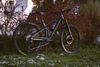 Trek Fuel EX