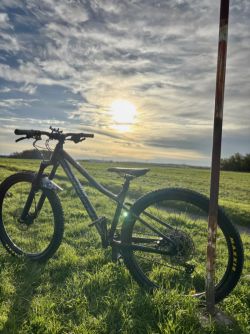 Norco Fluid ht 2