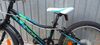 Superior Paint 20"