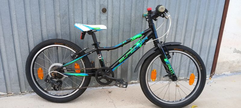 Superior Paint 20"