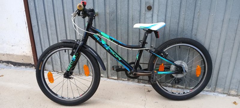 Superior Paint 20"