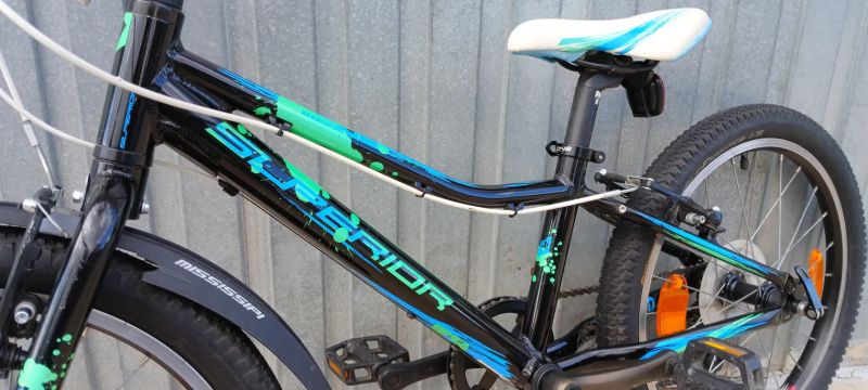 Superior Paint 20"