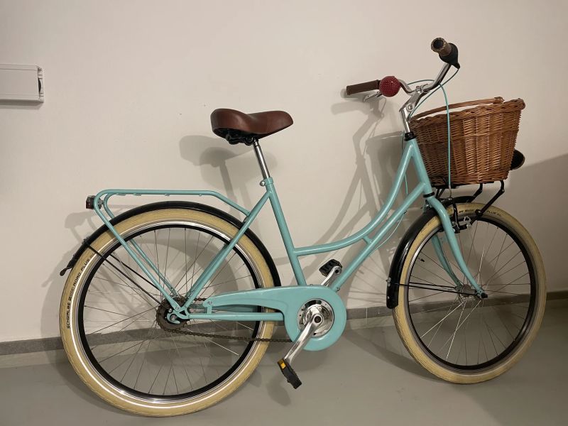 Dámské městské kolo, Shimano Nexus 7sp