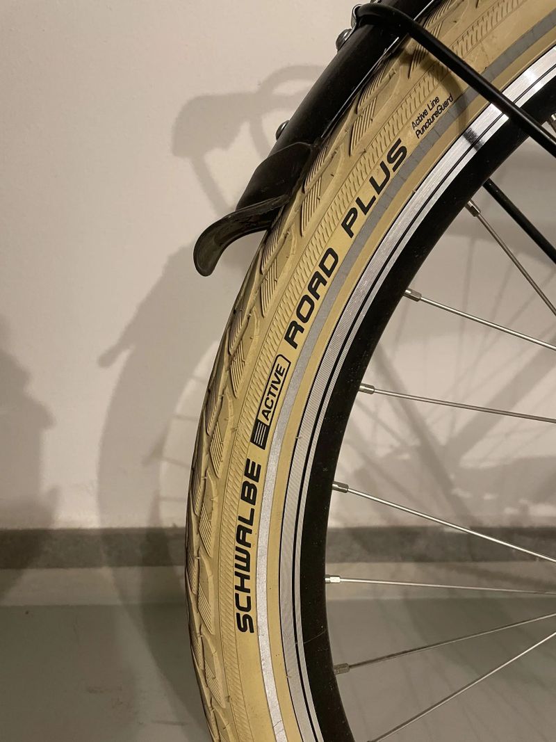 Dámské městské kolo, Shimano Nexus 7sp