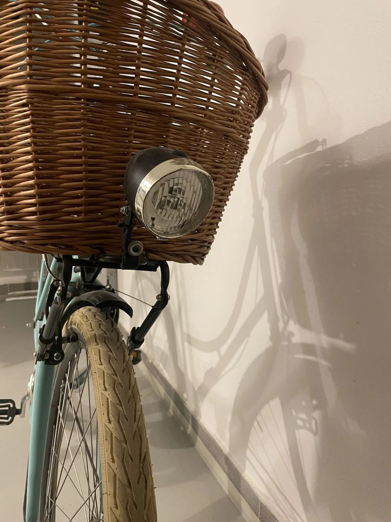 Dámské městské kolo, Shimano Nexus 7sp