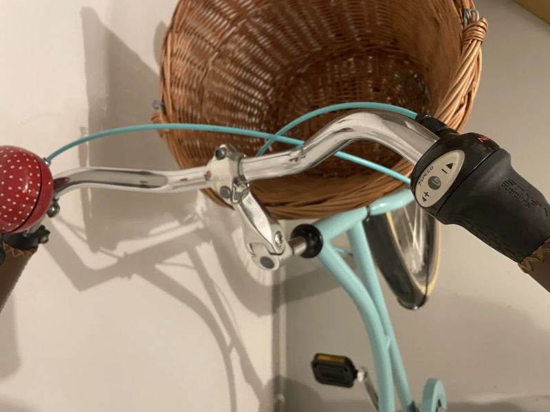 Dámské městské kolo, Shimano Nexus 7sp