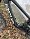 Santa Cruz Bronson mullet
