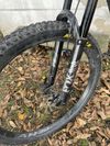 Santa Cruz Bronson mullet