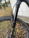 Santa Cruz Bronson mullet