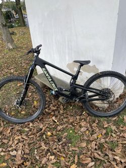 Santa Cruz Bronson mullet