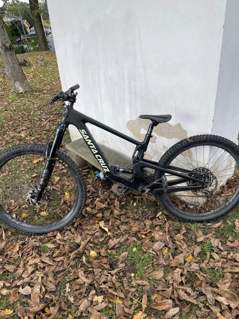 Santa Cruz Bronson mullet