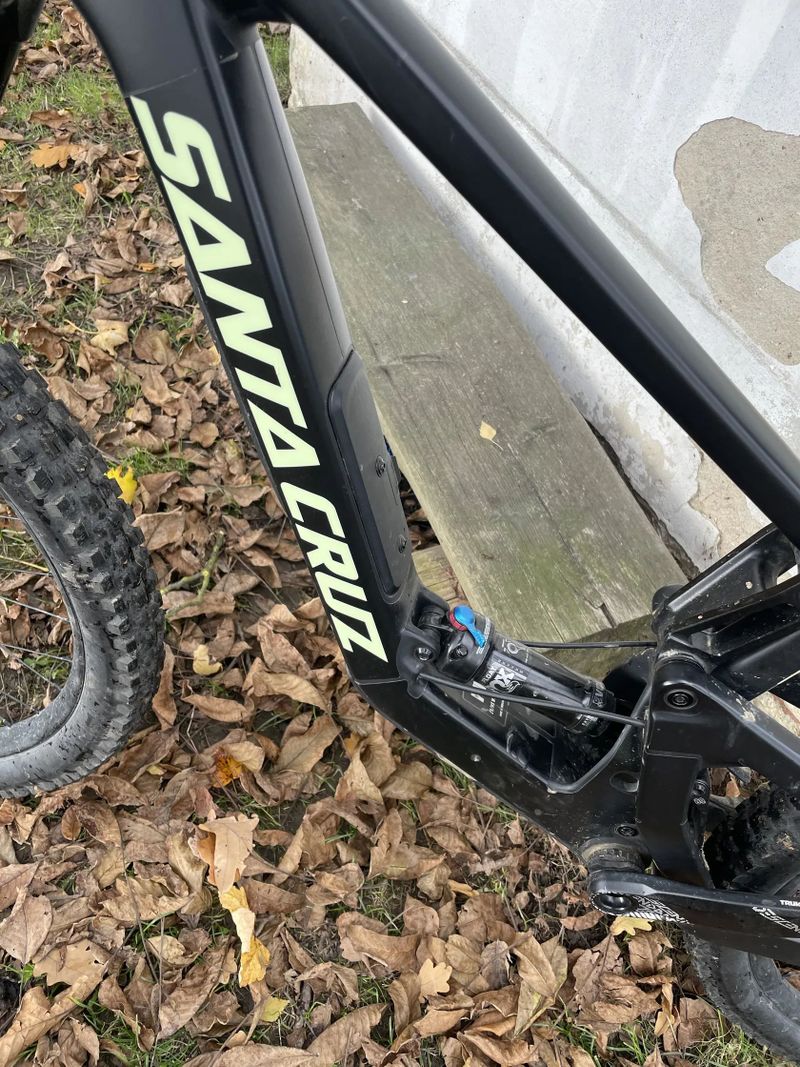 Santa Cruz Bronson mullet